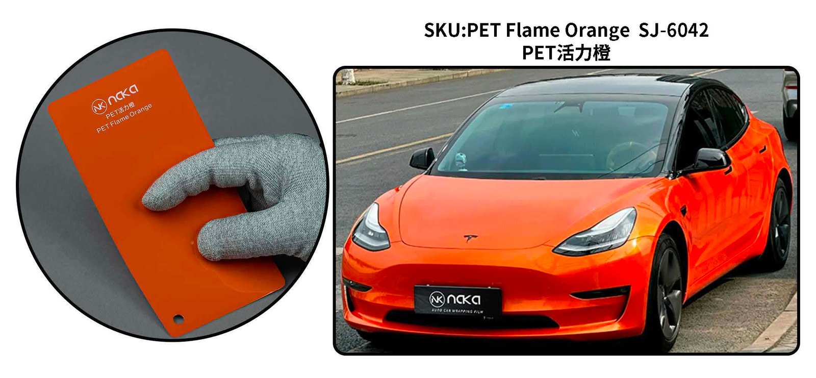 PET Latest E-Catalog page 6